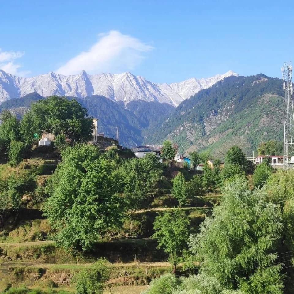 Anchal House Lejlighed Dharamshala Eksteriør billede